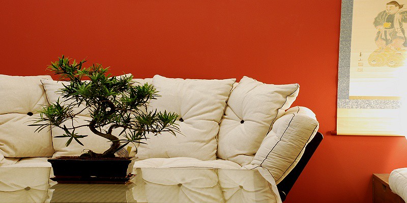 Wohnzimmer rot — Detail