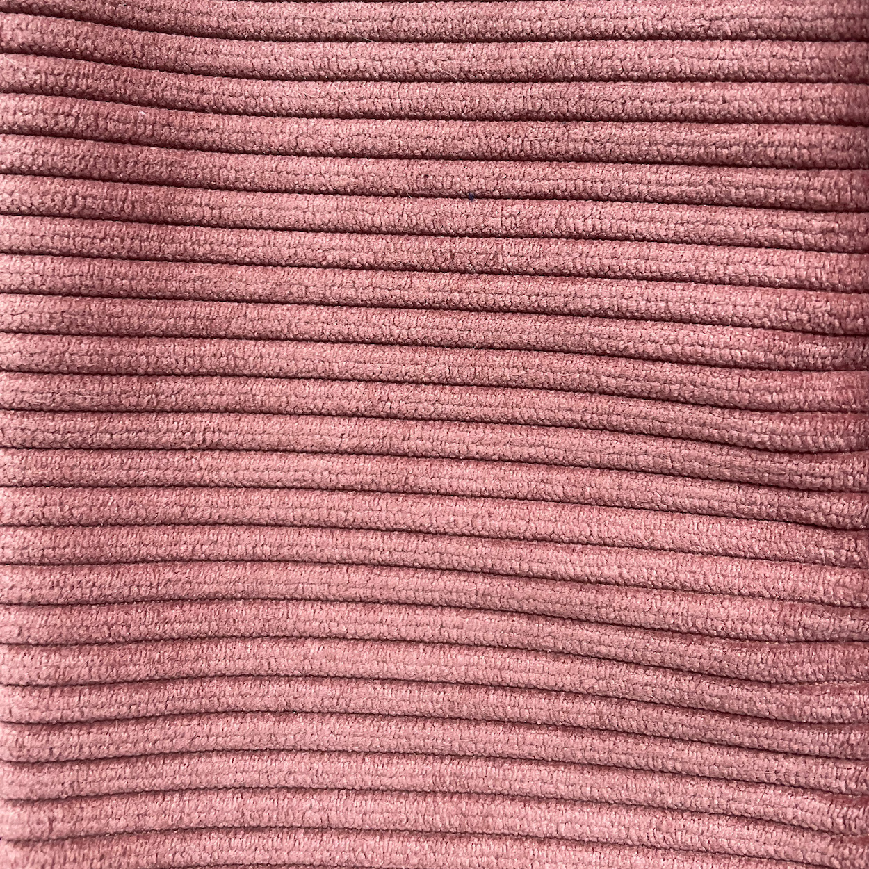 Cord - Sorbet pink