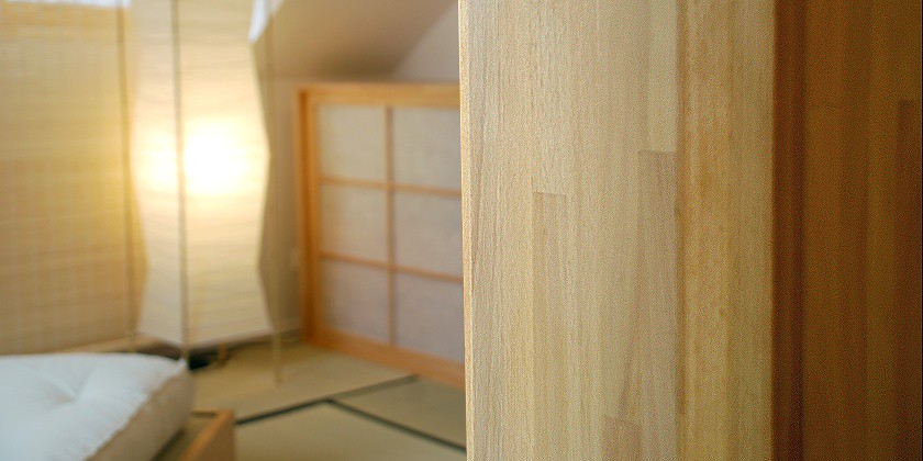 Projekt Maria Enzersdorf — Detail
