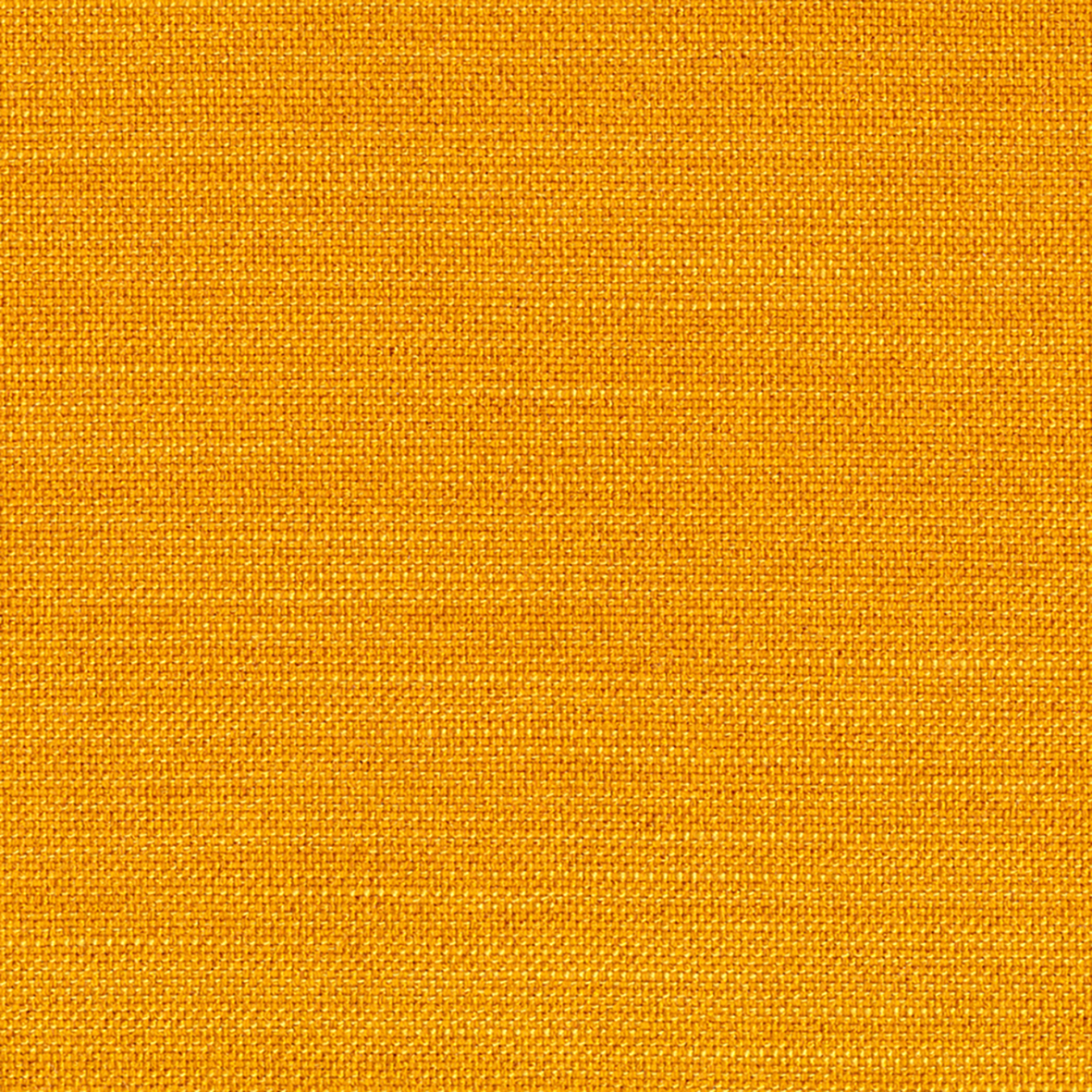 Elegance Burned Curry