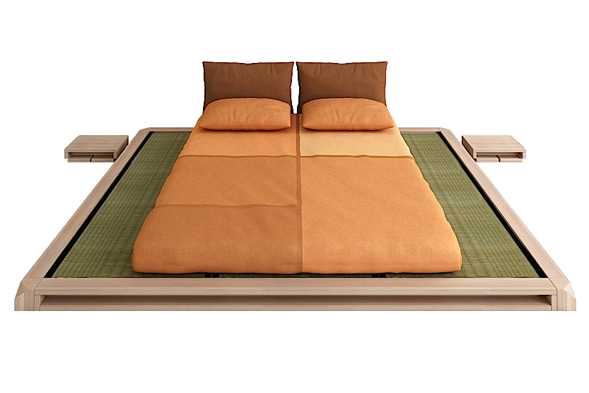 AIKO Plattform mit Tatami