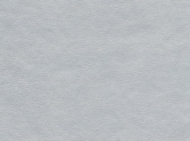 688 - Silvershine
