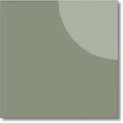 Salvia