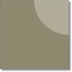 Tortora